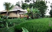 Туры в отель Puri Taman Sari Hotel