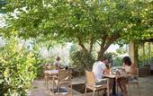 Туры в отель Kapsaliana Village Hotel