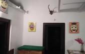 Туры в отель The Jungle House