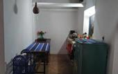 Туры в отель The Jungle House