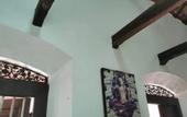 Туры в отель The Jungle House