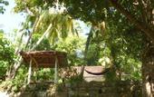 Туры в отель The Jungle House