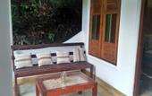 Туры в отель The Jungle House