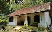 Туры в отель The Jungle House