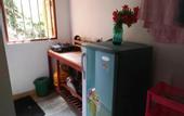Туры в отель The Jungle House