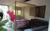 Туры в отель The Jungle House
