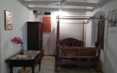 Туры в отель The Jungle House