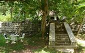 Туры в отель The Jungle House