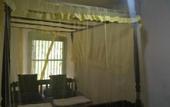 Туры в отель The Jungle House
