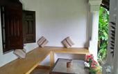 Туры в отель The Jungle House