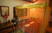 Туры в отель The Jungle House