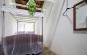 Туры в отель The Jungle House