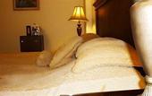 Туры в отель Gran Hotel Costa Rica