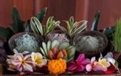 Туры в отель Anumana Ubud Bali
