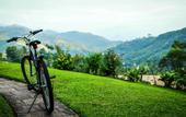 Туры в отель Hatale Tea Garden Bungalow