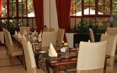 Туры в отель The African Tulip Hotel