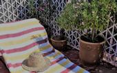 Туры в отель Riad Marhbabikoum