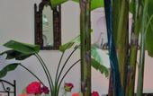 Туры в отель Riad Marhbabikoum