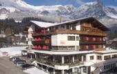 Туры в отель Hotel Alpin Scheffau