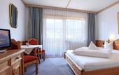 Туры в отель Hotel Alpin Scheffau