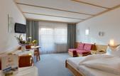 Туры в отель Hotel Alpin Scheffau