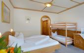 Туры в отель Hotel Alpin Scheffau