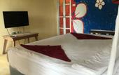 Туры в отель Elephant Bay Resort