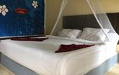 Туры в отель Elephant Bay Resort