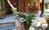 Туры в отель Ida Guest House