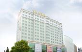 Туры в отель BORRMAN Hotel