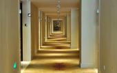 Туры в отель Conifer Garden Hotel