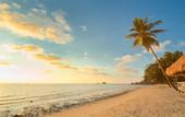 Туры в отель Casamarina Guest House