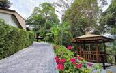 Туры в отель On The Hill Karon Resort