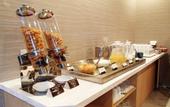 Туры в отель Osaka Riverside Hotel