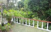 Туры в отель Tropical Garden Self Catering