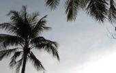 Туры в отель Lazy Days Bungalows