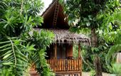 Туры в отель Lazy Days Bungalows