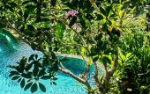 Туры в отель Villa Madu Ubud