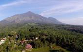 Туры в отель Rollaas Hotel and Resort