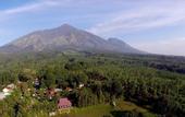 Туры в отель Rollaas Hotel and Resort