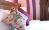 Туры в отель Hotel Eden54