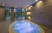 Туры в отель Green Court Premier Jinqiao Shanghai