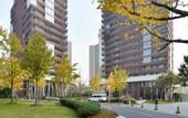 Туры в отель Green Court Premier Jinqiao Shanghai