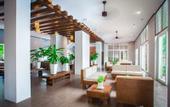 Туры в отель V Resort