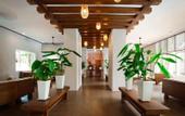 Туры в отель V Resort