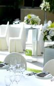 Туры в отель Rolling Hills Hotel