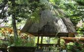 Туры в отель Garden View Ubud