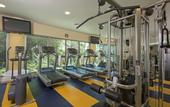 Туры в отель JOIA Paraiso by Iberostar - Adults Only - All Inclusive