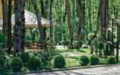 Туры в отель Отель Лесная поляна