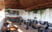 Туры в отель Elements Tulum Boutique Hotel